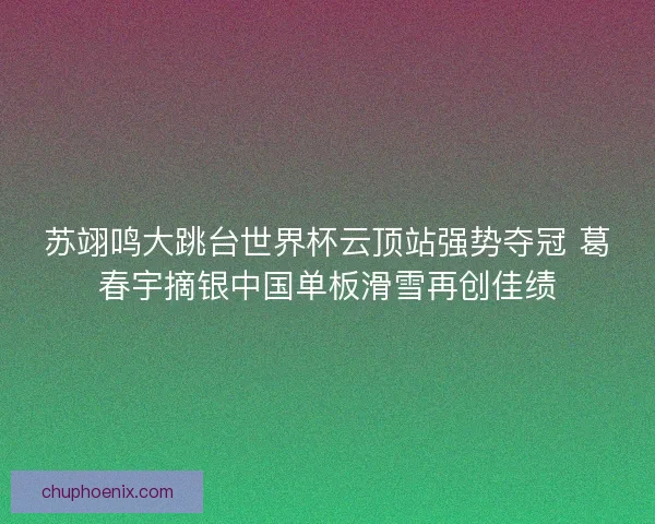苏翊鸣大跳台世界杯云顶站强势夺冠 葛春宇摘银中国单板滑雪再创佳绩